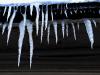 Icicles - 6