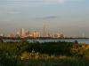 Toronto Skyline - Postcard edition